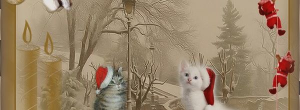 Défi chats Noël forum Hénoa