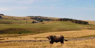 Nasbinals / St Chely d'Aubrac 17km