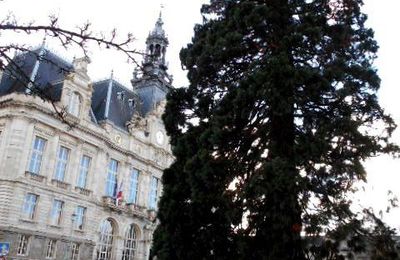 L'histoire du sapin de Noël fait parti aussi des 400 chants, comptines de noël dans le monde 2/2