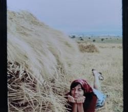 Anouk, au temps des cerises