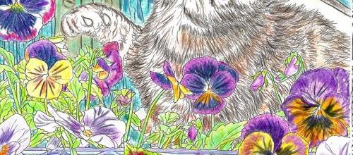 Le chaton et les papillons