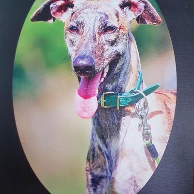 De mon Adorable Filleul ♥