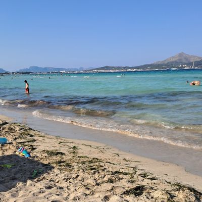 majorque - nord de l'ile - playa de muro - méduses .... alerte ! 