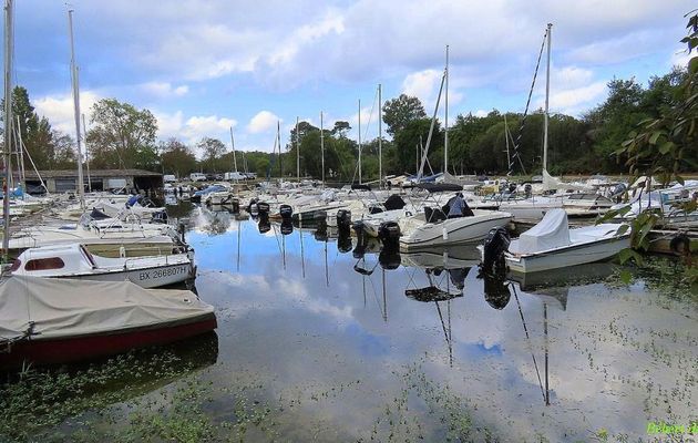 Saint Eulalie en Born -2