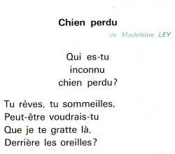 Chien perdu (Madeleine Ley)