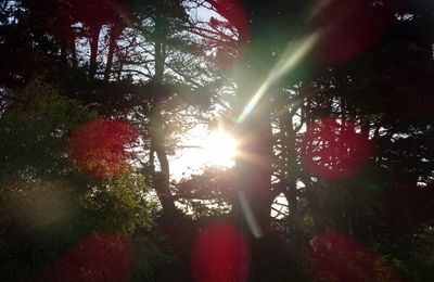 Petit aller/retour à groix : le lendemain matin