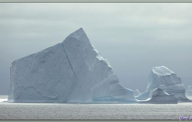 Derniers icebergs du jour, mais demain ce sera : icebergs, icebergs, icebergs ... - Fjord Uummannaq - Groenland