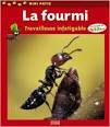 La fourmi, travailleuse infatigable