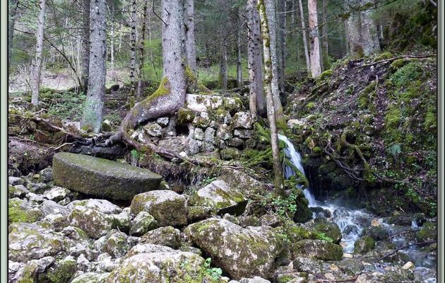 Paysages des Pyrénées et direction Vercors (Année 2010)