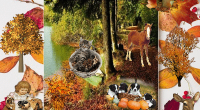 ANIMAUX AUX COULEURS DE AUTOMNE