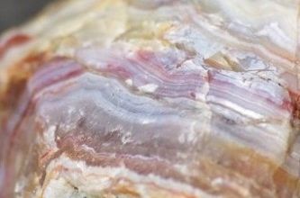 SERGE BARLAN-MONTREDON LABESSONNIE (Dept81) Agates Offert au club le Béryl de Tournefeuille en 1989