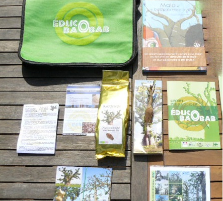 INECOBA, planter des baobabs