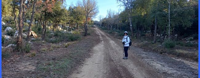 Siou Blanc, forêt domaniale de Signes.