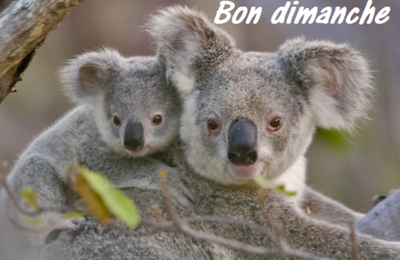 C'est dimanche