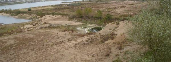 Bords de Loire près d'Ancenis