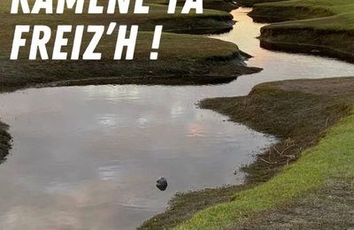 Ramènes ta Freizh 2025 - La découverte du gravel