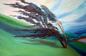 Jour de grand vent ... 