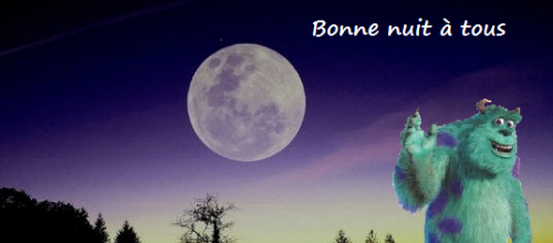 Bonne soirée et joyeuse nuit