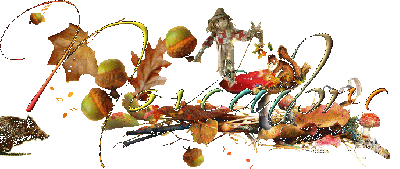 LE MOIS DE NOVEMBRE