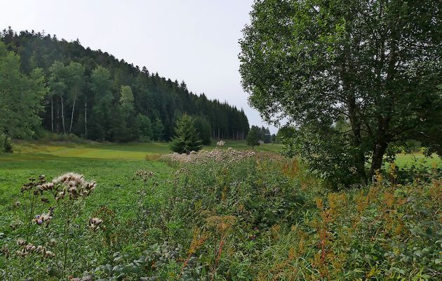 Une fin d'été à la Praille