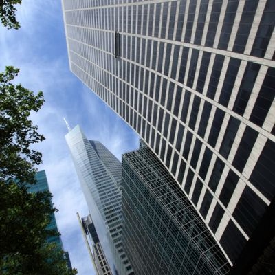 De l'Homo-sapiens à l'Homo-urbanus.