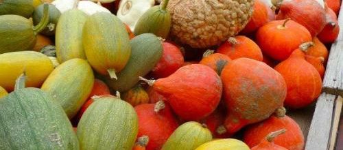 6 octobre, Fête de la courge à Jausiers
