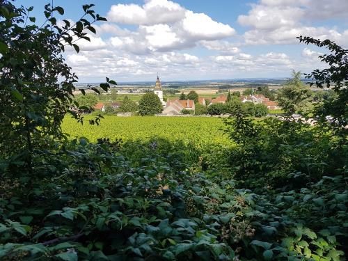 "Le Moulin à Vent" - Mercredi 28 juillet 2021