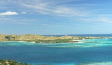 Coral view
