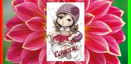 Montrez-vous les miss !