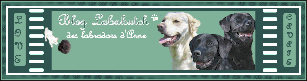 Première truffe de la saison