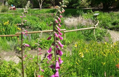 Bon dernier dimanche... de juillet!
