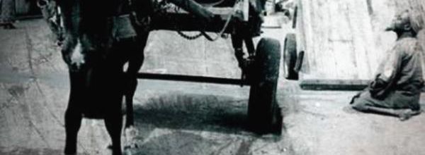BOROM SARRET FILM 1963