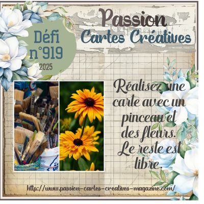 Les cartes PCC, octobre et novembre !