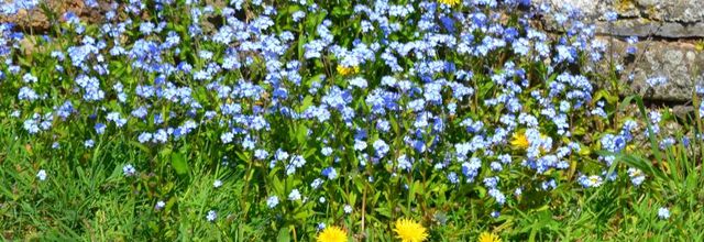  sourires en bleu 