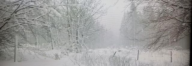 26 cm de neige dans les Hautes Fagnes!