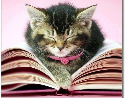 Un peu d'humour :  Nouveaux mots d?excuses  Travail facultatif