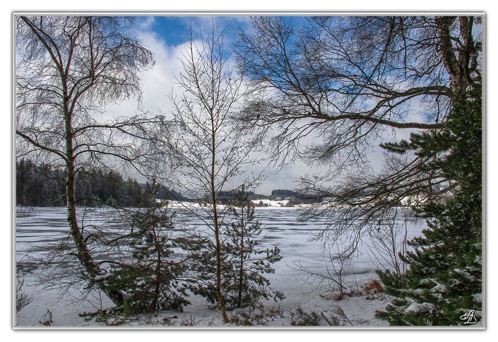05 - Paysages