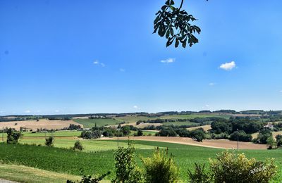 Blaziert - Gers