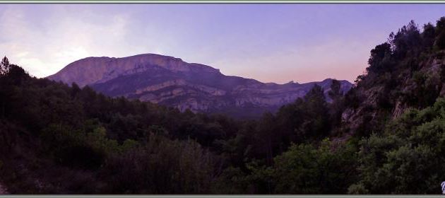 Randonnée au Congost de Mont-Rebei : au lever du jour retour vers l'entrée de la gorge dans une ambiance rose/violette - Aragon/Catalogne - Espagne