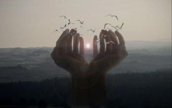 Echange autour de "Aimer c'est laisser libre"