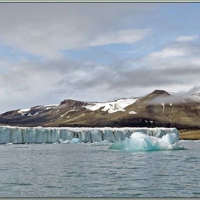 Nous rencontrons de magnifiques icebergs avec, en prime, une Mouette blanche qui se perche sur l'un d'eux - Glacier Negribreen - Spitzberg - Svalbard - Norvège