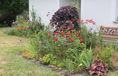 Massif pourpre et rouge : les crocosmias à l'honneur