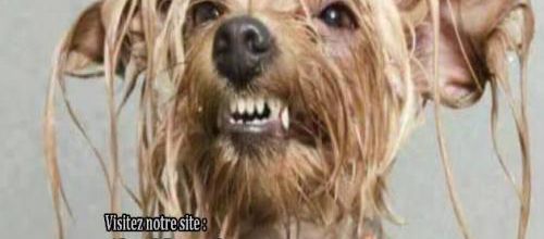 Toute la pluie tombe sur nous!