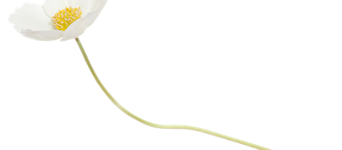 123.