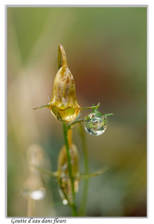 02 - Gouttes d'eau