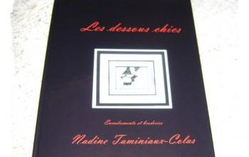 Mon cadeau de Noël 