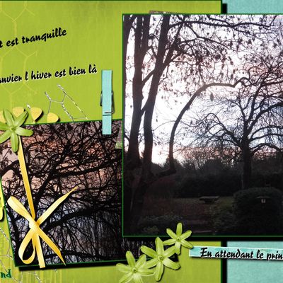 En Janvier, on Préserve la Biodiversité !