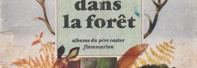 Cachés dans la forêt (Albertine Deletaille)
