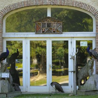 Visiter le PARC NATUREL DE CHAMBARAN en Isère