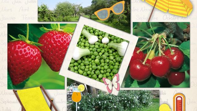 Votre Marché de la Semaine